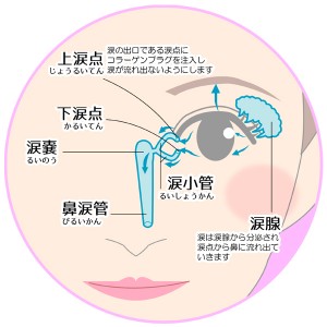 涙点と涙の図